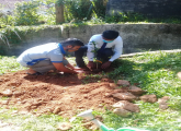 පරිසර දිනය 2020