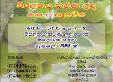 විජලනය කරන ලද කොස් සදහා ඉහළ වටිනාකමක්