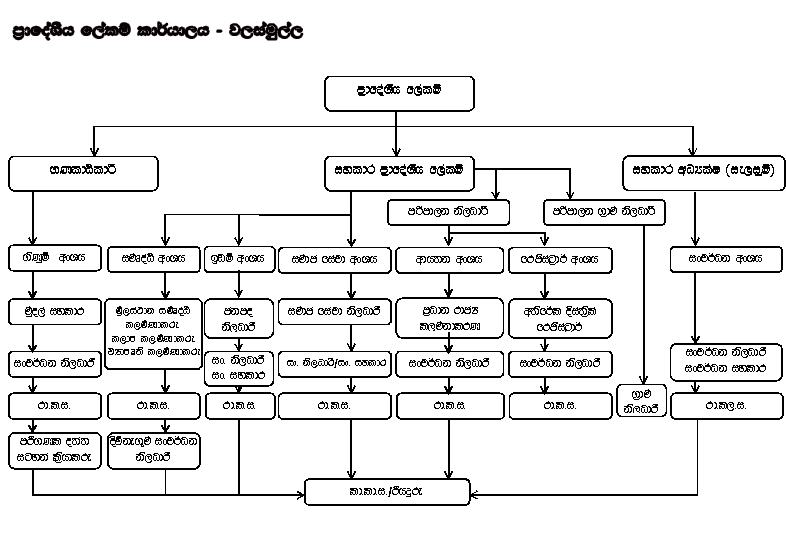 org chart sin