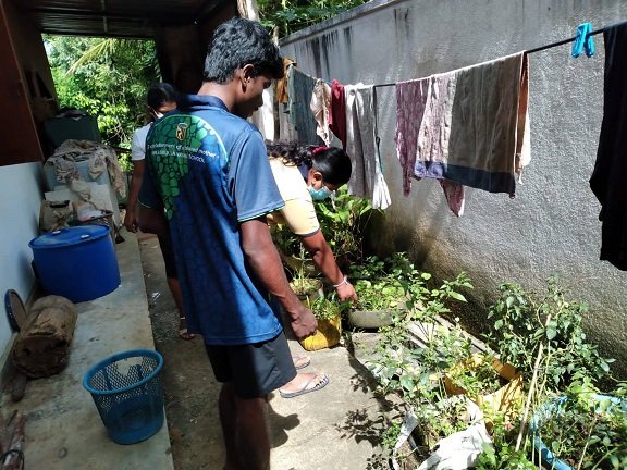 ඩෙංගු උවදුර ව්‍යාප්ත වීම අවම කිරීම සඳහා,  වලස්මුල්ල නගරය ආශ්‍රිත ග්‍රාම නිලධාරී වසම් කිහිපයක ඩෙංගු මදුරුවන් බෝවීමට ඉඩ ඇති ස්ථාන පරීක්ෂාව හා හඳුනා ගැනීම