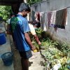 ඩෙංගු උවදුර ව්‍යාප්ත වීම අවම කිරීම සඳහා,  වලස්මුල්ල නගරය ආශ්‍රිත ග්‍රාම නිලධාරී වසම් කිහිපයක ඩෙංගු මදුරුවන් බෝවීමට ඉඩ ඇති ස්ථාන පරීක්ෂාව හා හඳුනා ගැනීම