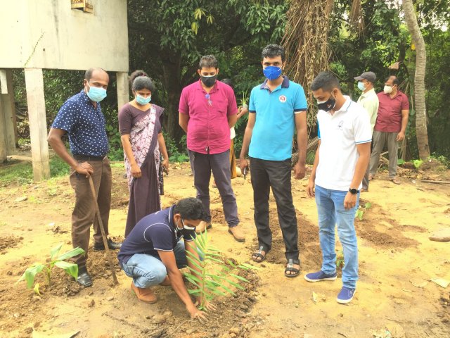 ඖෂධ පැළ සිටුවීමේ වැඩ සටහන