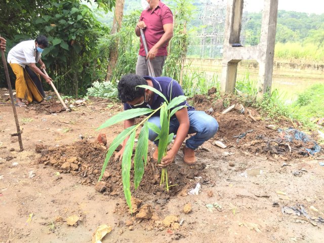ඖෂධ පැළ සිටුවීමේ වැඩ සටහන
