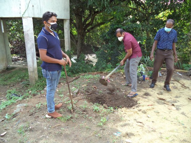 ඖෂධ පැළ සිටුවීමේ වැඩ සටහන