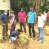 ඖෂධ පැළ සිටුවීමේ වැඩ සටහන