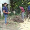 ඖෂධ පැළ සිටුවීමේ වැඩ සටහන