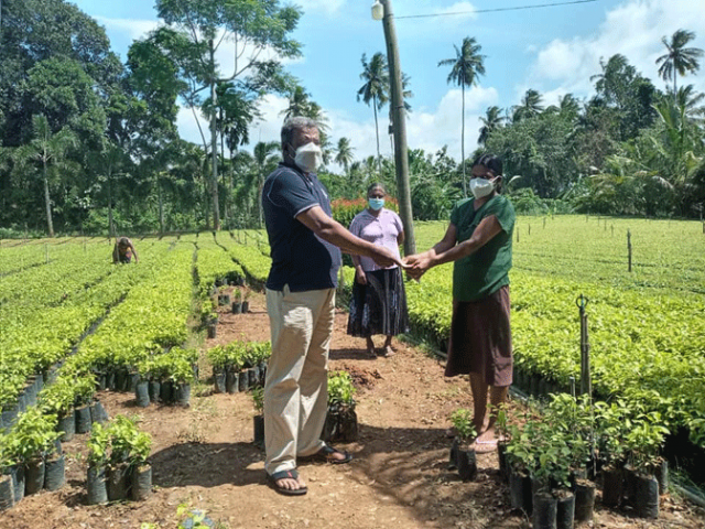 සමෘද්ධි අරුණළු වැඩසටහන