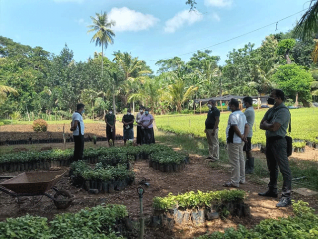 සමෘද්ධි අරුණළු වැඩසටහන