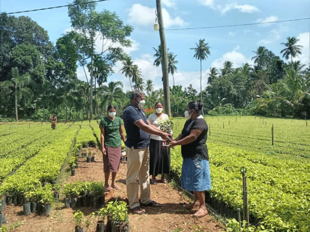සමෘද්ධි අරුණළු වැඩසටහන