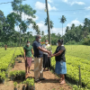 සමෘද්ධි අරුණළු වැඩසටහන