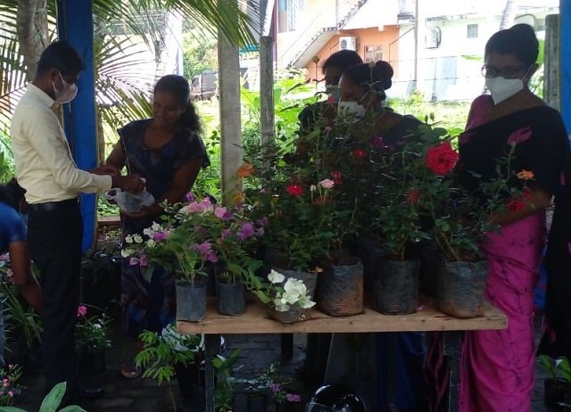 ව්‍යසායකත්ව අලෙවි පොළ