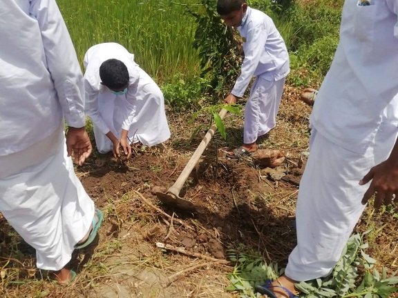 ග්‍රාමීය පරිසර කමිටුව පිහිටුවීම හා රුක් රෝපණ වැඩසටහන