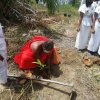 ග්‍රාමීය පරිසර කමිටුව පිහිටුවීම හා රුක් රෝපණ වැඩසටහන