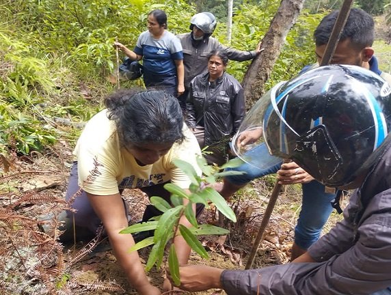 රුක් රෝපණ වැඩසටහන