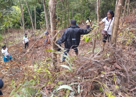 රුක් රෝපණ වැඩසටහන