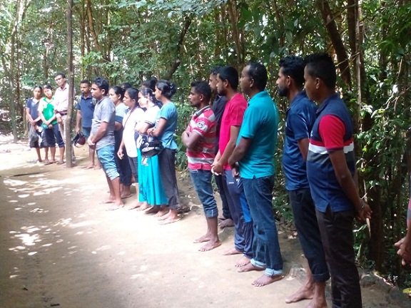 රුක් රෝපණ වැඩසටහන