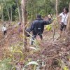 රුක් රෝපණ වැඩසටහන